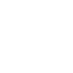 Main Logo